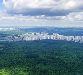 В Новую Москву едут за хорошей экологией и высокими пенсиями