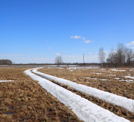 Московских студентов развели на деньги в обмен на несуществующие земельные участки