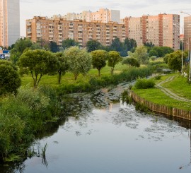 В Подмосковье нашли самые чистые города