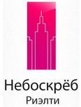 Логотип Небоскреб риэлти