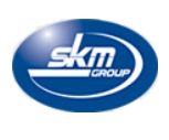 Логотип SKM group