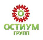 Логотип Остиум Групп