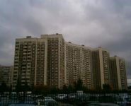 4-комнатная квартира площадью 100 кв.м, Верхние поля ул., 22К1 | цена 18 500 000 руб. | www.metrprice.ru