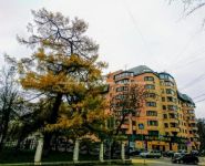 3-комнатная квартира площадью 90 кв.м, Талдомская улица, 17к1 | цена 26 500 000 руб. | www.metrprice.ru