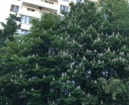 1-комнатная квартира площадью 35 кв.м, улица Удальцова, 65Б | цена 7 798 000 руб. | www.metrprice.ru