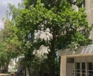 1-комнатная квартира площадью 43 кв.м, улица Фабрициуса, 22 | цена 4 900 000 руб. | www.metrprice.ru