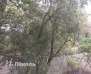 1-комнатная квартира площадью 23 кв.м, улица Маяковского, 24 | цена 3 800 000 руб. | www.metrprice.ru