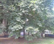 2-комнатная квартира площадью 46 кв.м, 1 Мая мкр, 2 | цена 3 950 000 руб. | www.metrprice.ru